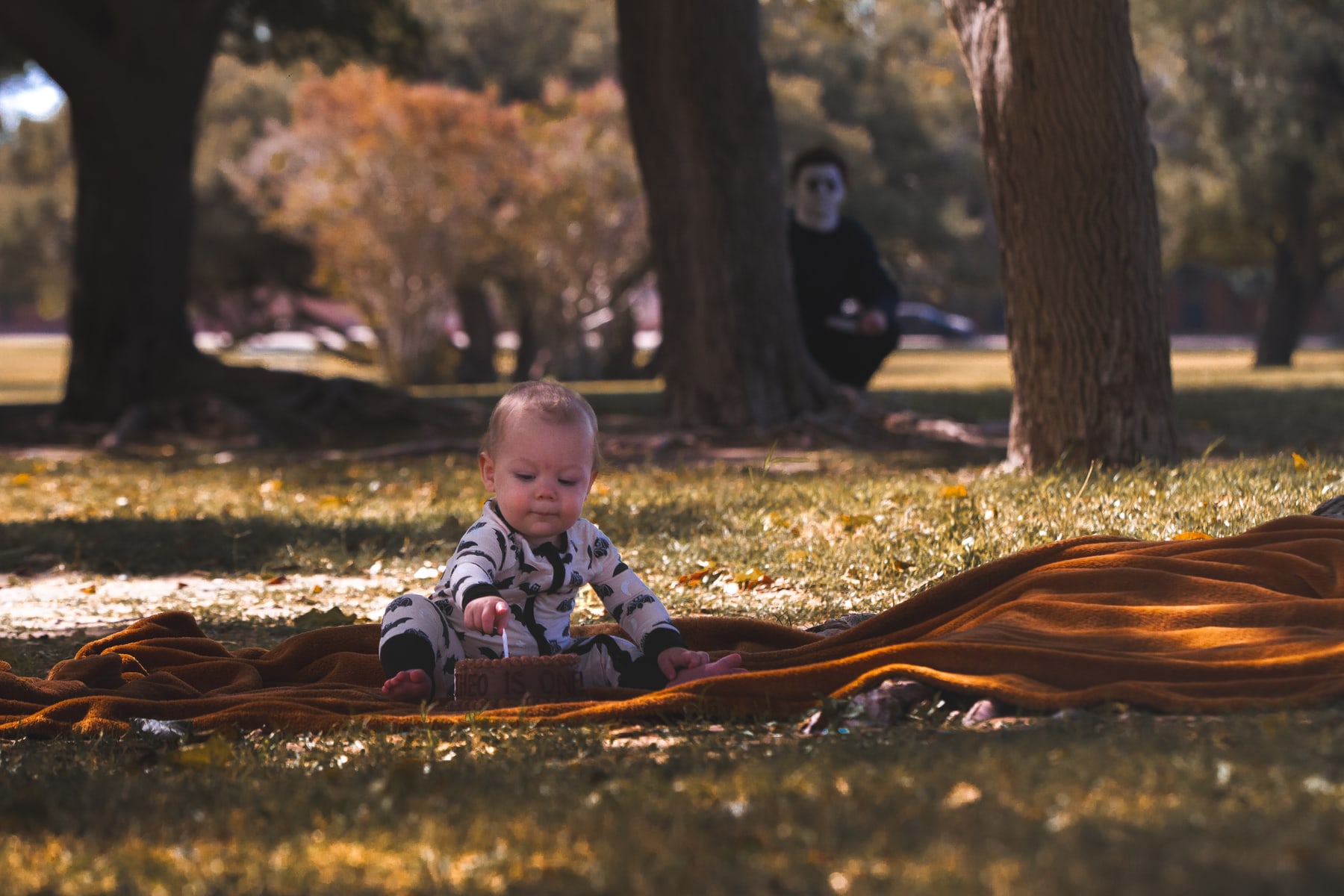 Theo sitting on an orange blanket among fallen leaves