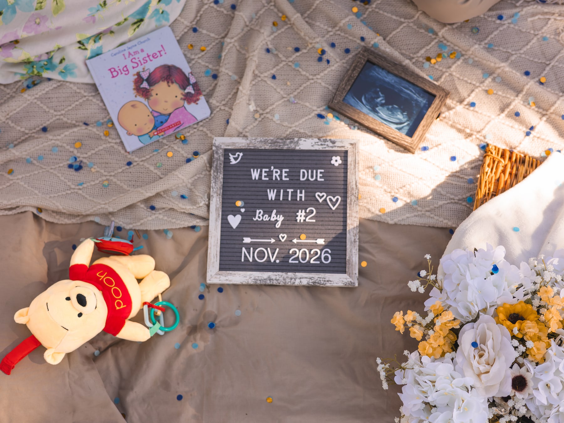 An announcement sign, framed sonogram, book and toy arranged on a picnic blanket